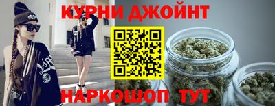 шишки Аргун