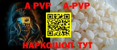 шишки Аргун
